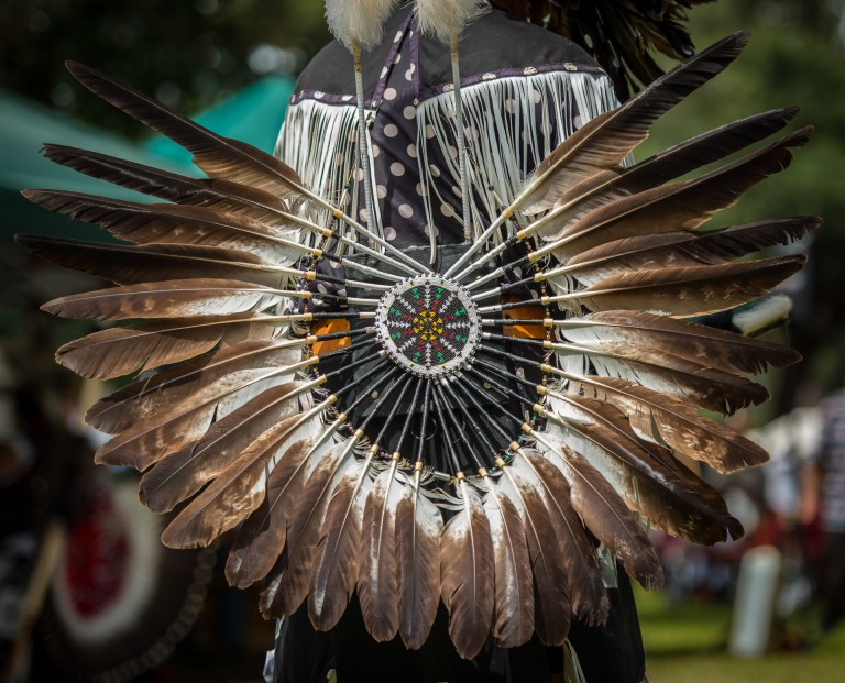 Central Florida Its Pow Wow Time Again! The Illuminating Lens